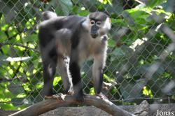 Los Angeles Zoo