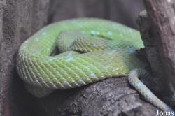 Los Angeles Zoo