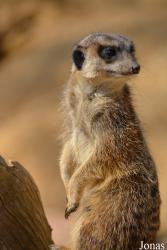 Zoo Saarbrücken