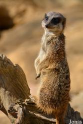 Zoo Saarbrücken