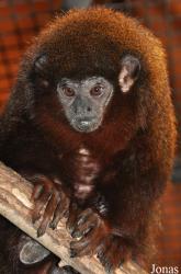 Santa Ana Zoo