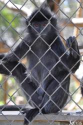 Santa Ana Zoo