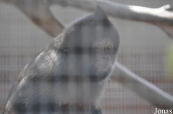 Santa Ana Zoo