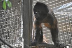 Santa Ana Zoo