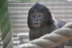 Santa Ana Zoo