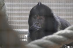 Santa Ana Zoo