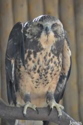 Orange County Zoo