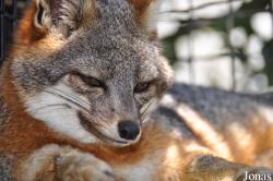 Orange County Zoo