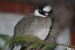 Birdland Park & Gardens