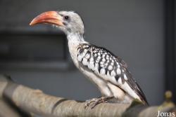 Vogelpark De Lorkeershoeve