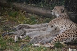 Zoo Landau in der Pfalz