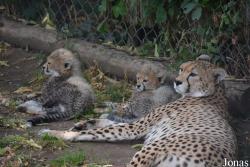 Zoo Landau in der Pfalz