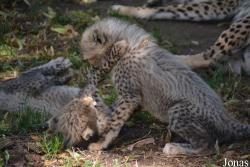 Zoo Landau in der Pfalz