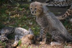 Zoo Landau in der Pfalz