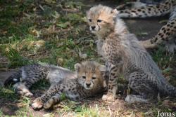 Zoo Landau in der Pfalz
