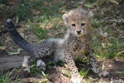 Zoo Landau in der Pfalz
