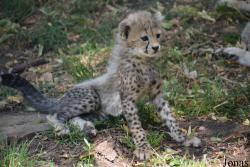 Zoo Landau in der Pfalz