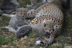Zoo Landau in der Pfalz