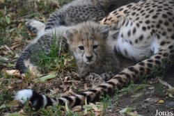 Zoo Landau in der Pfalz