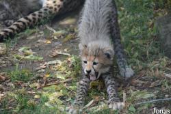 Zoo Landau in der Pfalz