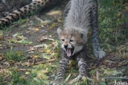 Zoo Landau in der Pfalz