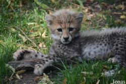 Zoo Landau in der Pfalz