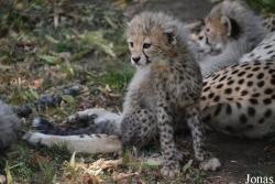 Zoo Landau in der Pfalz