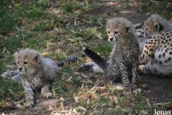 Zoo Landau in der Pfalz