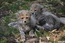 Zoo Landau in der Pfalz