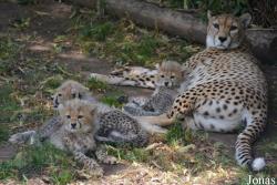 Zoo Landau in der Pfalz