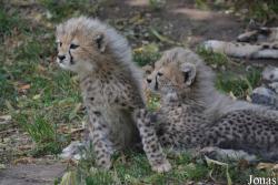 Zoo Landau in der Pfalz