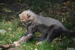 Zoo Landau in der Pfalz