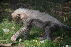 Zoo Landau in der Pfalz