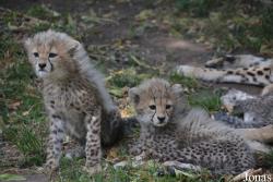 Zoo Landau in der Pfalz