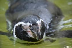 Zoo Landau in der Pfalz
