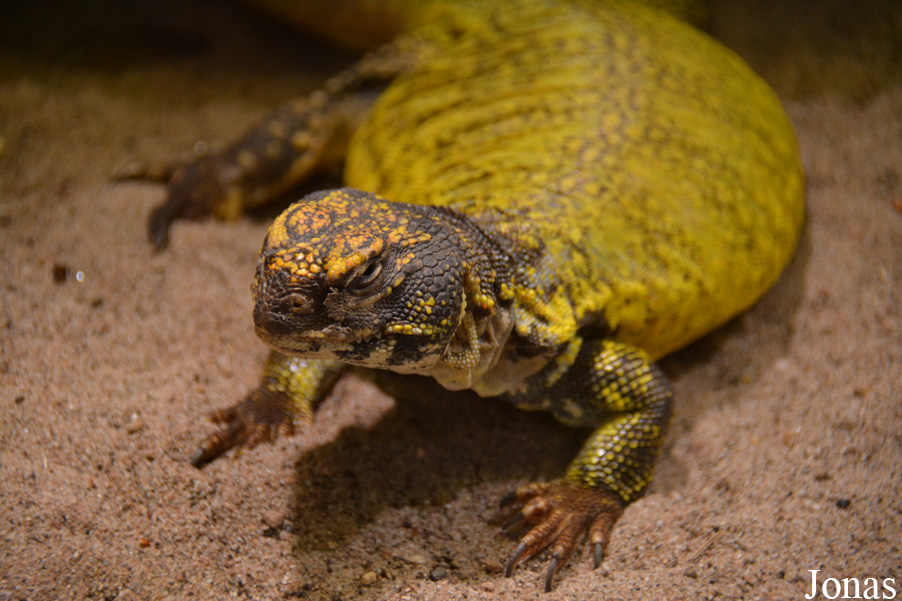 Zoo Landau in der Pfalz