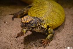 Zoo Landau in der Pfalz