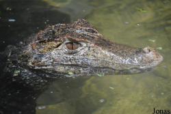 Zoo Landau in der Pfalz