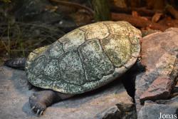Zoo Landau in der Pfalz