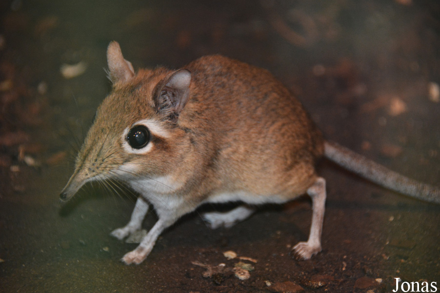 Zoo Wuppertal