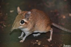Zoo Wuppertal