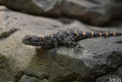 Zoo Wuppertal
