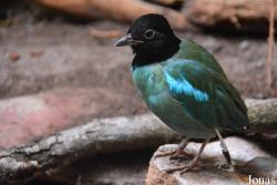 Zoo Wuppertal
