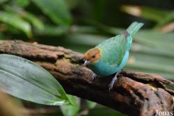 Zoo Wuppertal