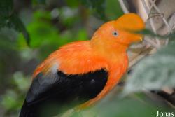 Zoo Wuppertal