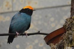 Zoo Wuppertal