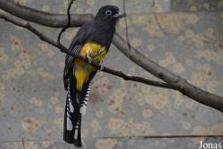 Zoo Wuppertal
