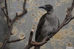 Zoo Wuppertal