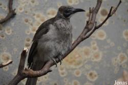 Zoo Wuppertal