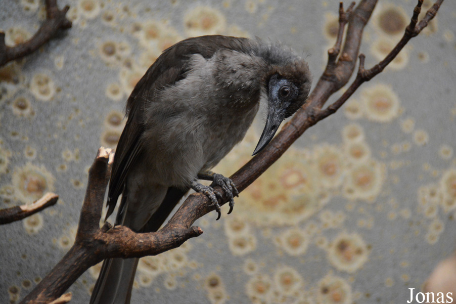 Zoo Wuppertal
